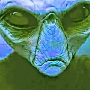 Meet your Posher, Jess